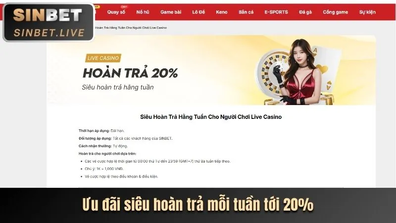 Hoàn Trả Hàng Ngày B29